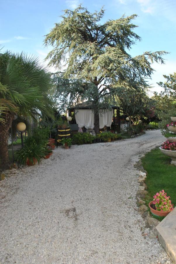Villino Alle Terme Viterbo Exterior photo