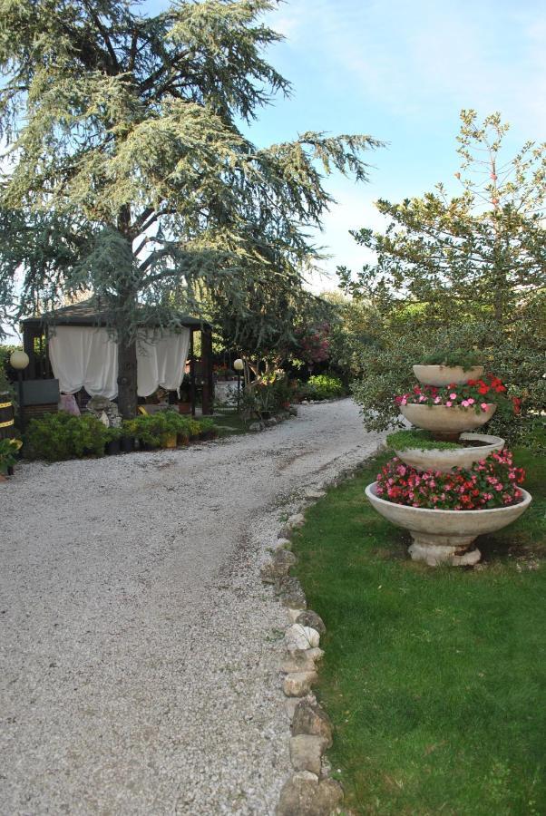 Villino Alle Terme Viterbo Exterior photo